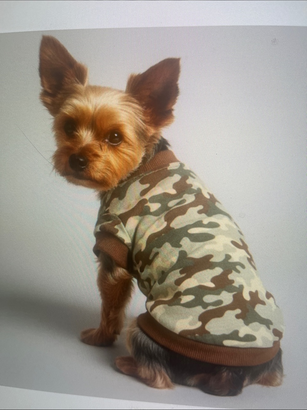 Camo Print Dog Tee in Brown & Green - Classic Pet Shirt